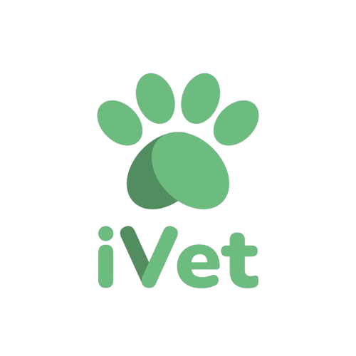 iVet Logo
